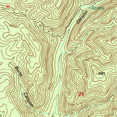 United States Geological Survey Bay Buck Peaks, NM (1995, 24000-Scale) digital map