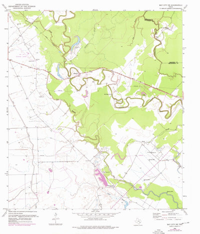 United States Geological Survey Bay City NE, TX (1952, 24000-Scale) digital map