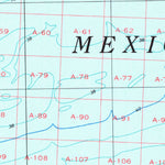 United States Geological Survey Bay City, TX (1974, 250000-Scale) digital map