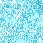 United States Geological Survey Bay Courant, LA (1994, 24000-Scale) digital map