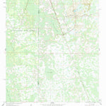 United States Geological Survey Bay Lake, FL (1960, 24000-Scale) digital map