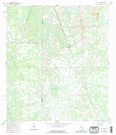 United States Geological Survey Bay Lake, FL (1960, 24000-Scale) digital map