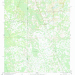 United States Geological Survey Bay Lake, FL (1984, 24000-Scale) digital map