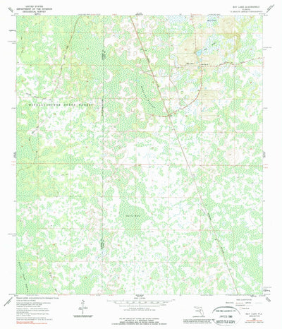 United States Geological Survey Bay Lake, FL (1984, 24000-Scale) digital map
