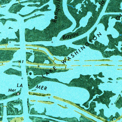 United States Geological Survey Bay Ronquille, LA (1973, 24000-Scale) digital map