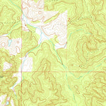 United States Geological Survey Bay Springs, MS (1974, 24000-Scale) digital map
