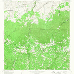 United States Geological Survey Bayaney, PR (1957, 20000-Scale) digital map