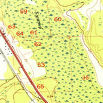 United States Geological Survey Bayard, FL (1952, 24000-Scale) digital map
