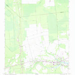 United States Geological Survey Bayboro, NC (1968, 24000-Scale) digital map