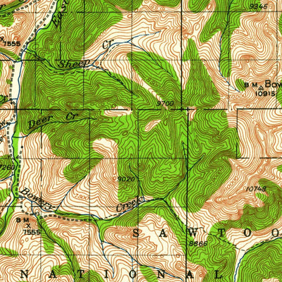 United States Geological Survey Bayhorse, ID (1929, 125000-Scale) digital map