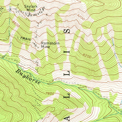 United States Geological Survey Bayhorse, ID (1963, 24000-Scale) digital map
