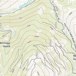 United States Geological Survey Bayhorse, ID (2020, 24000-Scale) digital map