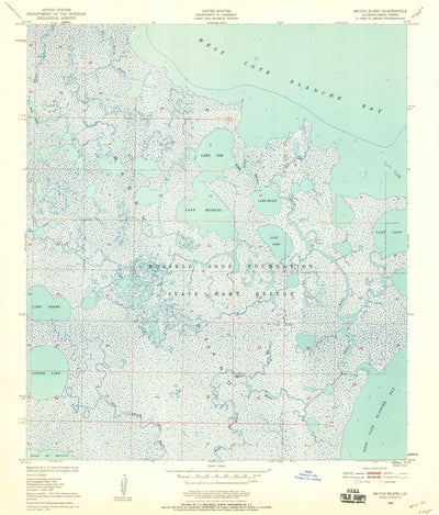 United States Geological Survey Bayou Blanc, LA (1948, 24000-Scale) digital map
