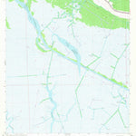 United States Geological Survey Bayou Cocodrie, LA (1964, 24000-Scale) digital map