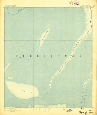 United States Geological Survey Bayou Du Large, LA (1894, 62500-Scale) digital map