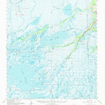 United States Geological Survey Bayou Du Large, LA (1964, 62500-Scale) digital map