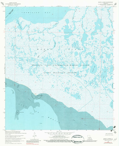 United States Geological Survey Bayou Lucien, LA (1968, 24000-Scale) digital map