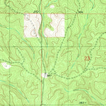 United States Geological Survey Bayou Pierre Lake, LA (1980, 24000-Scale) digital map