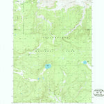 United States Geological Survey Beach Lake, WY (1986, 24000-Scale) digital map