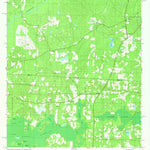 United States Geological Survey Beachton, GA-FL (1982, 24000-Scale) digital map