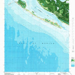 United States Geological Survey Beacon Beach, FL (1982, 24000-Scale) digital map