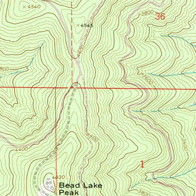 United States Geological Survey Bead Lake, WA-ID (1968, 24000-Scale) digital map