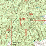 United States Geological Survey Bead Lake, WA-ID (1996, 24000-Scale) digital map