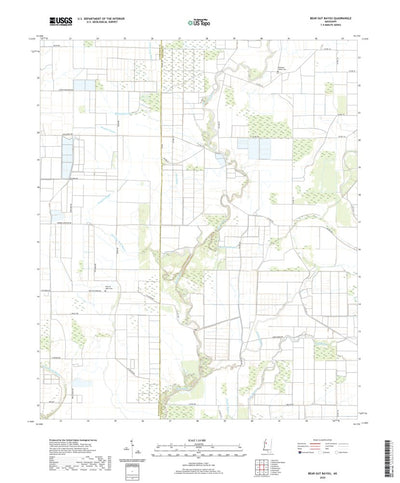 United States Geological Survey Bear Gut Bayou, MS (2020, 24000-Scale) digital map