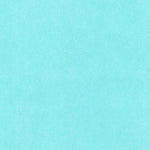 United States Geological Survey Bear Lake South, UT (1969, 24000-Scale) digital map