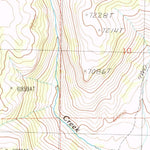 United States Geological Survey Bear Mountain, NV-ID (1989, 24000-Scale) digital map
