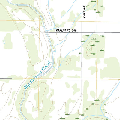 United States Geological Survey Bear Skin, LA (2020, 24000-Scale) digital map
