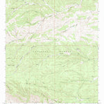 United States Geological Survey Bear Spring, NM (1965, 24000-Scale) digital map