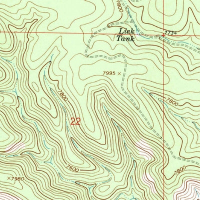 United States Geological Survey Bear Spring, NM (1965, 24000-Scale) digital map