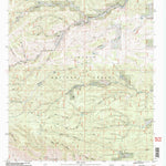 United States Geological Survey Bear Spring, NM (2004, 24000-Scale) digital map