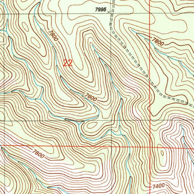 United States Geological Survey Bear Spring, NM (2004, 24000-Scale) digital map