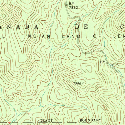 United States Geological Survey Bear Springs Peak, NM (1970, 24000-Scale) digital map