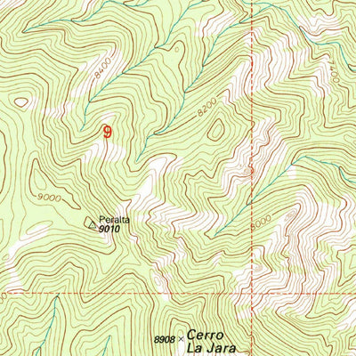 United States Geological Survey Bear Springs Peak, NM (2002, 24000-Scale) digital map