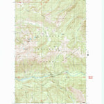 United States Geological Survey Bearpaw Mountain, WA (1989, 24000-Scale) digital map