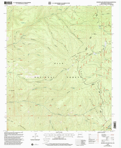 United States Geological Survey Bearwallow Mountain, NM (1999, 24000-Scale) digital map