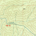 United States Geological Survey Bearwallow Mountain, NM (1999, 24000-Scale) digital map