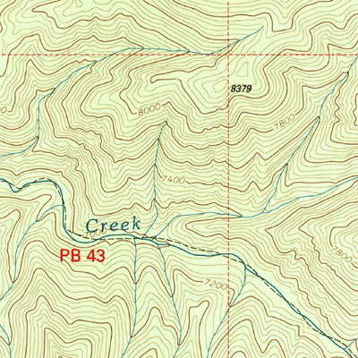 United States Geological Survey Bearwallow Mountain, NM (1999, 24000-Scale) digital map