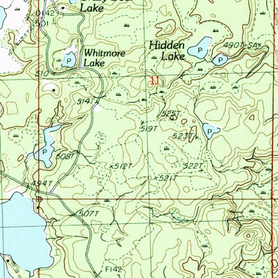 United States Geological Survey Beaton, MI (1982, 25000-Scale) digital map