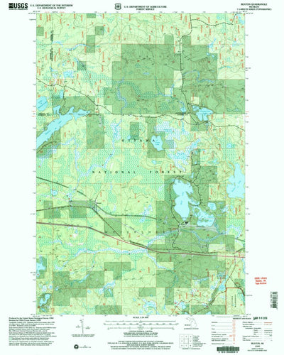 United States Geological Survey Beaton, MI (1999, 24000-Scale) digital map