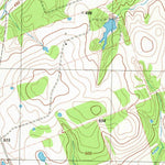 United States Geological Survey Beaukiss, TX (1982, 24000-Scale) digital map