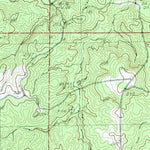 United States Geological Survey Beaumont, MS (1982, 24000-Scale) digital map