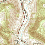 United States Geological Survey Beaver Dams, NY (1953, 24000-Scale) digital map