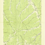 United States Geological Survey Beaverdam Springs, TN (1936, 24000-Scale) digital map