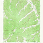 United States Geological Survey Beaverdam Springs, TN (1952, 24000-Scale) digital map