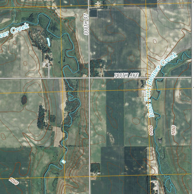 United States Geological Survey Bechyn, MN (2010, 24000-Scale) digital map