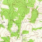 United States Geological Survey Bedias, TX (1963, 24000-Scale) digital map
